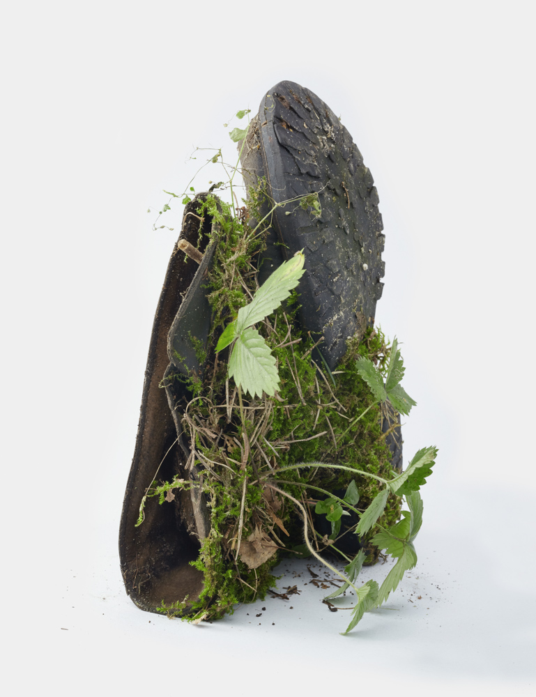 Image：<p>'Center for the Living Things' Shoe Environment III,<br />
Rough-stalked feather-moss (Brachythecium rutabulum Schimp.)  Wild Strawberries (Fragaria vesca), 2017, Place of discover:  Illegal waste dumping in the city downtown (50 02’11.2”N 19 57’23.3”E) </p>
