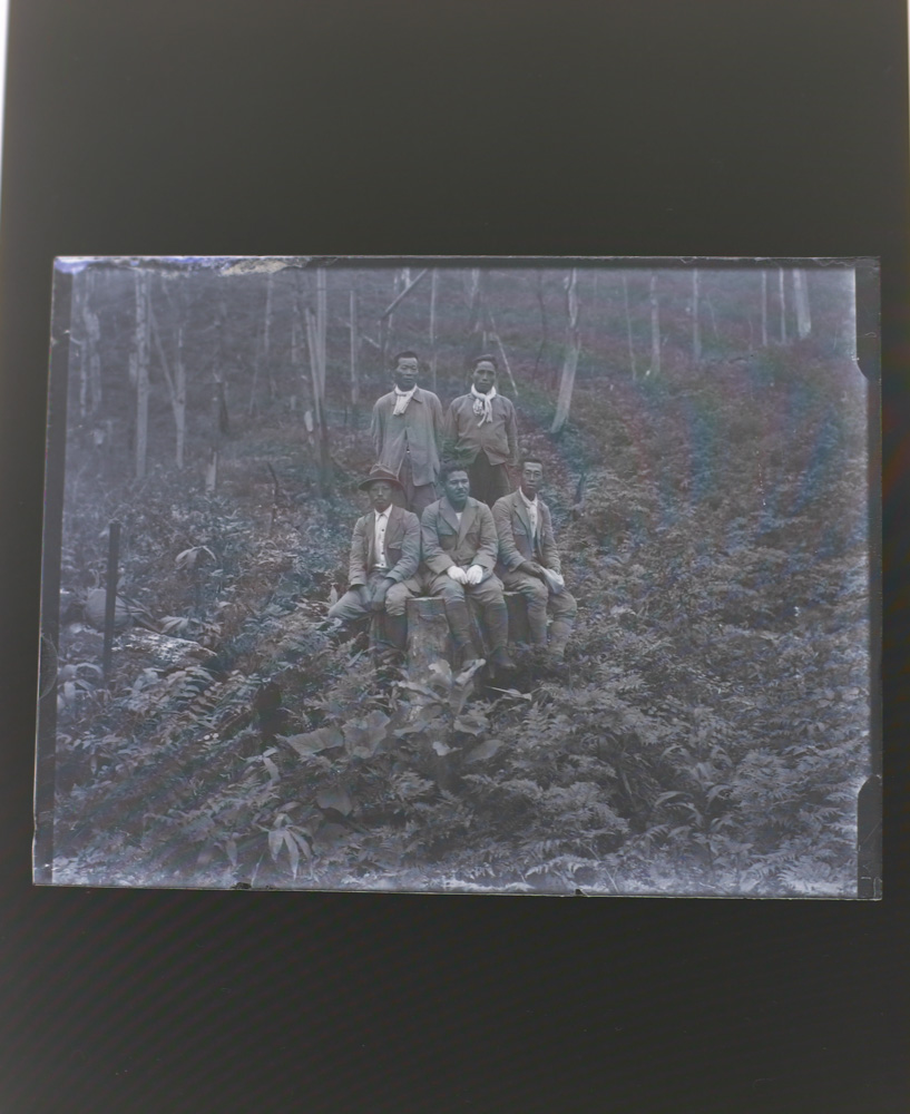 画像：<p>作品制作のためにリサーチした写真／1930年 銀板写真、天塩研究林<br />
パヴェル・ヤニツキとのコラボレーション</p>
