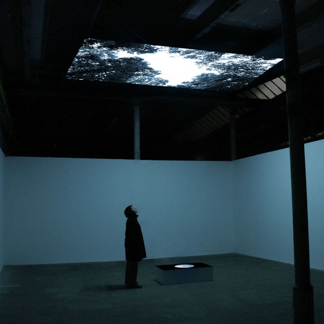 Youki Hirakawa