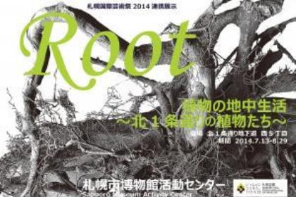 「Root（ルート）　植物の地中生活～北1条通りの植物たち～」　