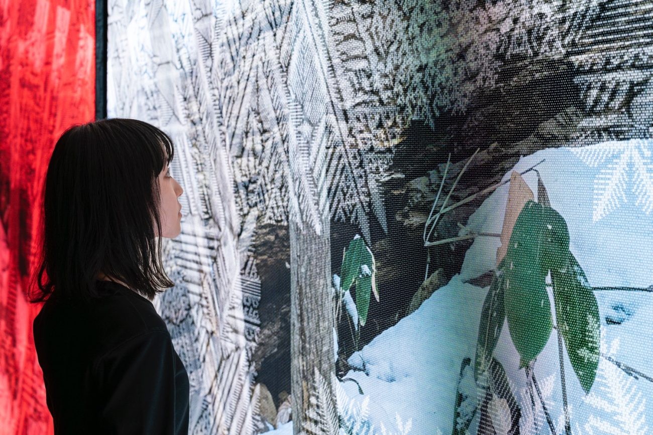 INTO SIGHT at SIAF2024（ソニー）