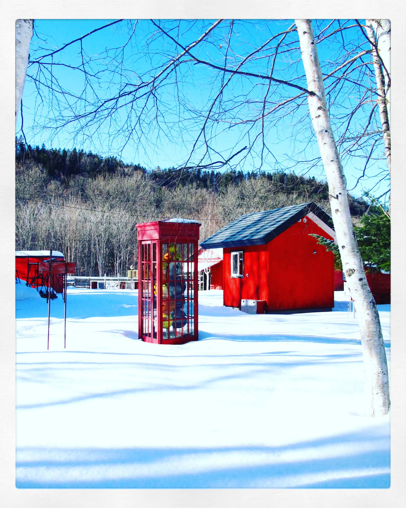 雪の林の中に配置された、鮮やかな赤色の電話ボックスと小屋。シゲチャンランドの冬の風景