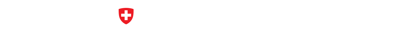 文化庁 文化芸術創造拠点形成事業 在日スイス大使館