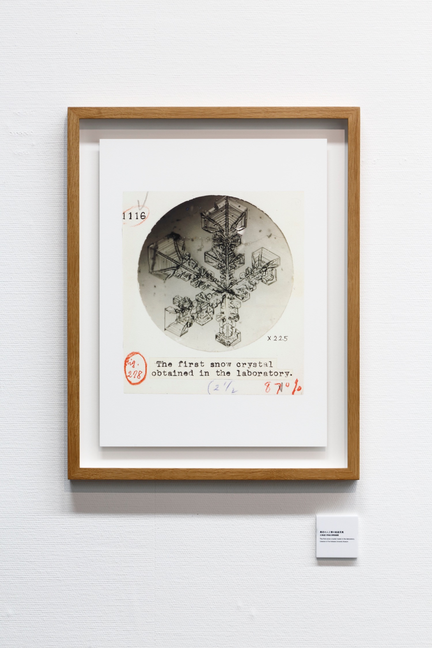 中谷宇吉郎《天然雪・人工雪の写真》1933-35（天然雪）1936-39（人工雪）,Photo by KIOKU Keizo