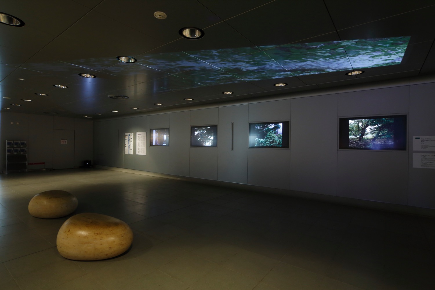 露口啓ニ《Map of Water SAPPORO/FUKUSHIMA》2014,Photo by KIOKU Keizo