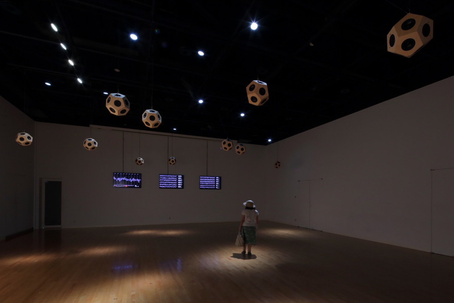 坂本龍一＋YCAM InterLab《フォレスト・シンフォニー in モエレ沼》2014,Photo by KIOKU Keizo