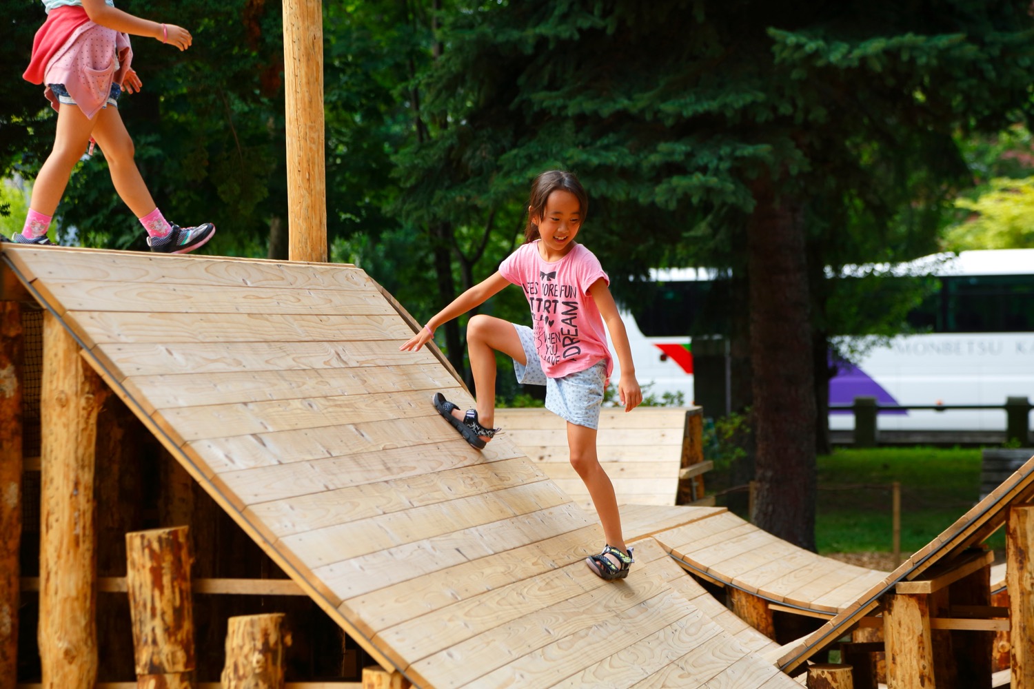 YCAM InterLab＋五十嵐 淳《コロガル公園 in ネイチャー》2014,Photo by KIOKU Keizo