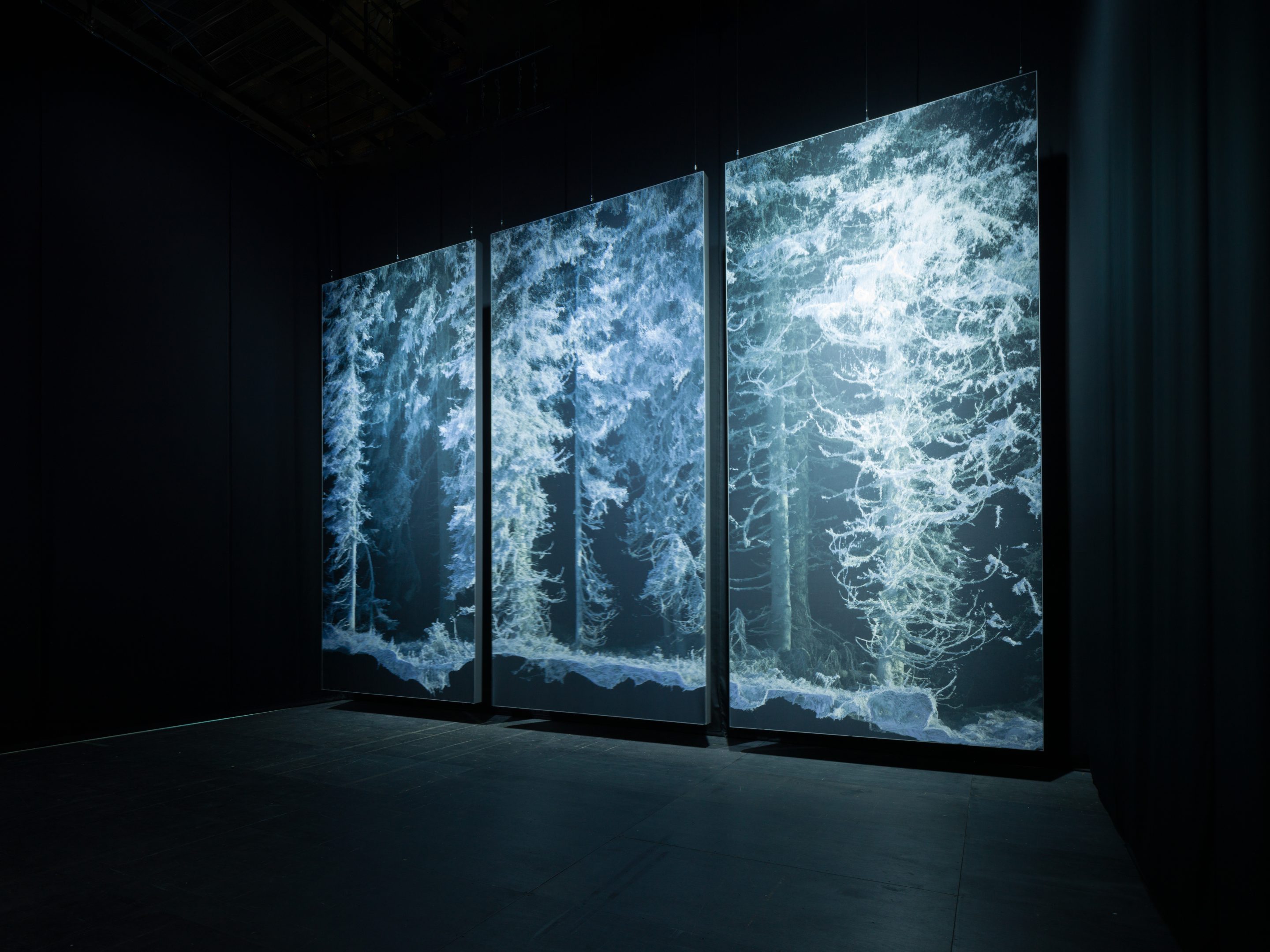 Quayola, Remains: Vallée de Joux, 2018.  ©Sapporo International Art Festival 2024, Photo by FUJIKURA Tsubasa