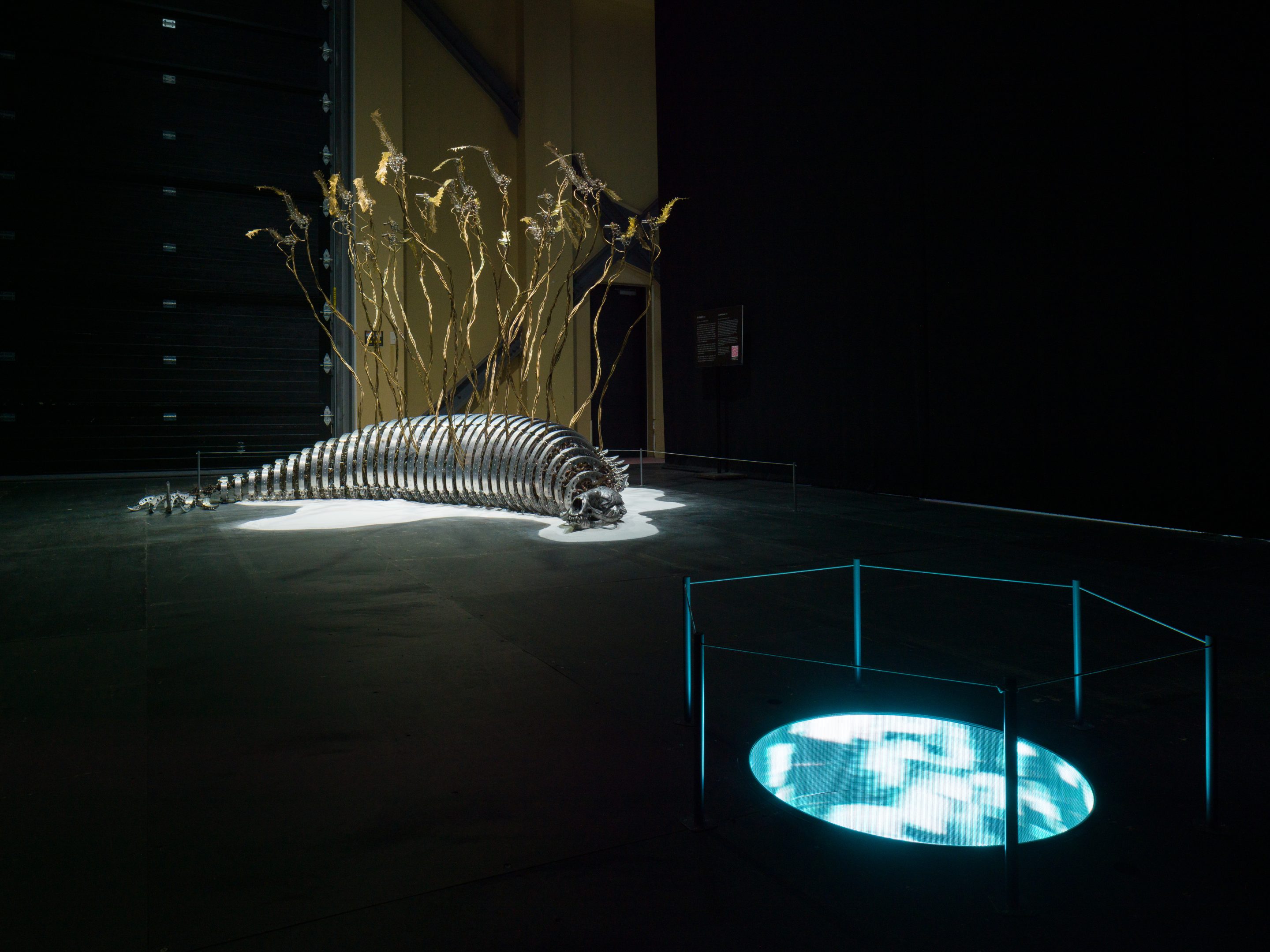 CHOE U-Ram, Custos Cavum, 2011. ©Sapporo International Art Festival 2024, Photo by FUJIKURA Tsubasa