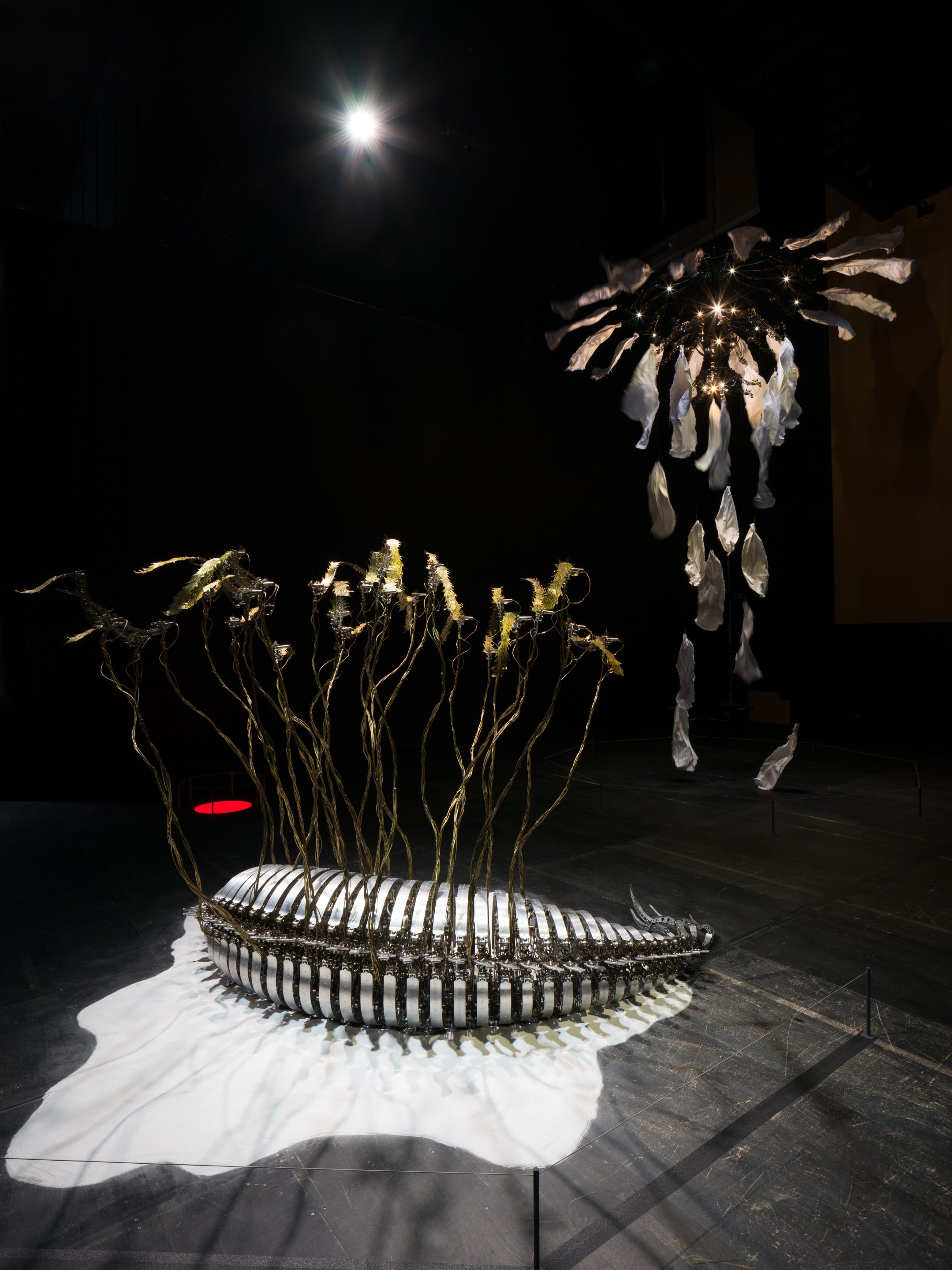 CHOE U-Ram, I want to wither beautifully, with you, 2024. CHOE U-Ram, Custos Cavum, 2011, I want to wither beautifully, with you, 2024. ©Sapporo International Art Festival 2024,Photo by FUJIKURA Tsubasa