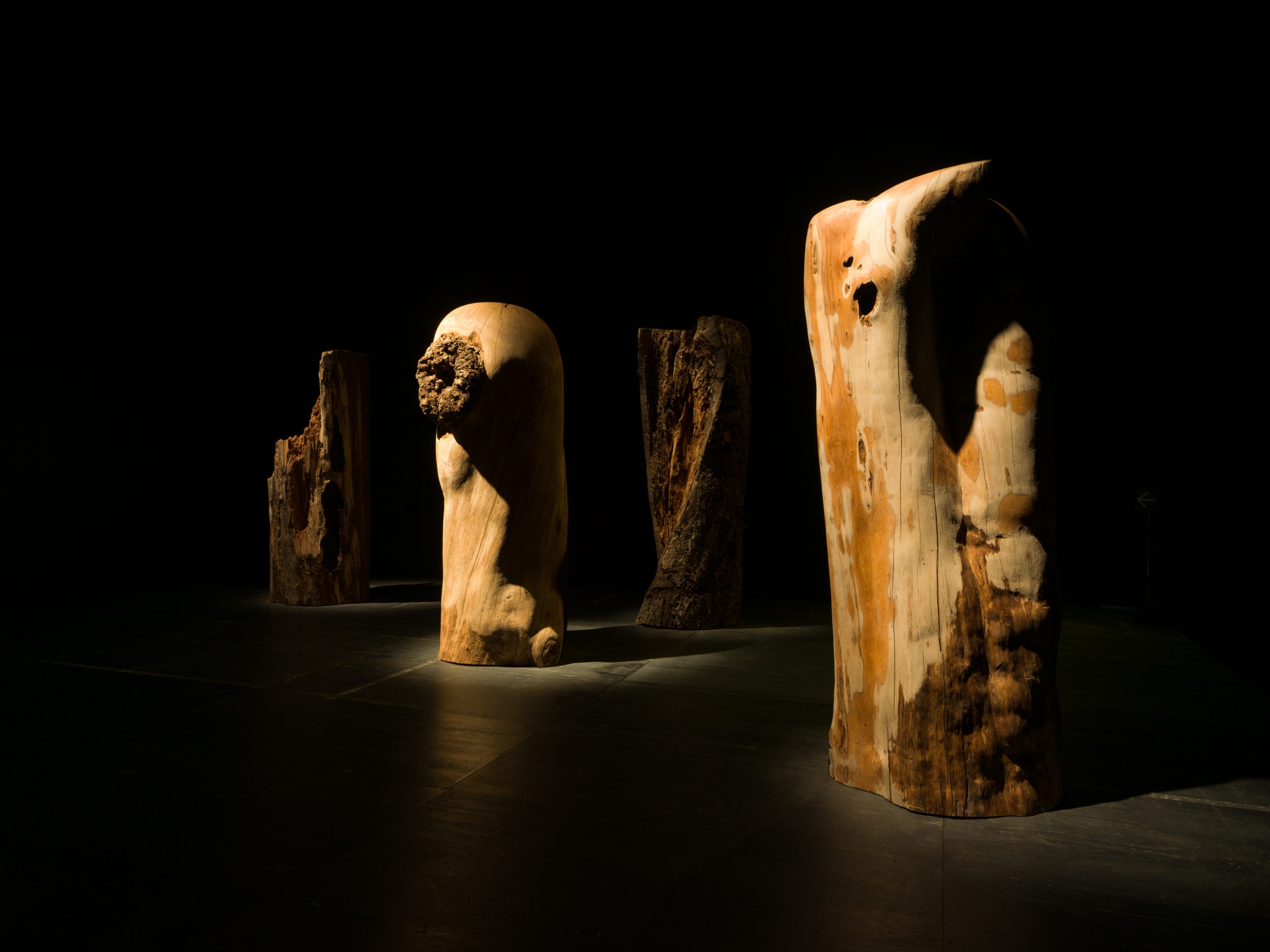 "KUNIMATSU Kineta, WORMHOLE, 2024.  ©Sapporo International Art Festival 2024, Photo by FUJIKURA Tsubasa"