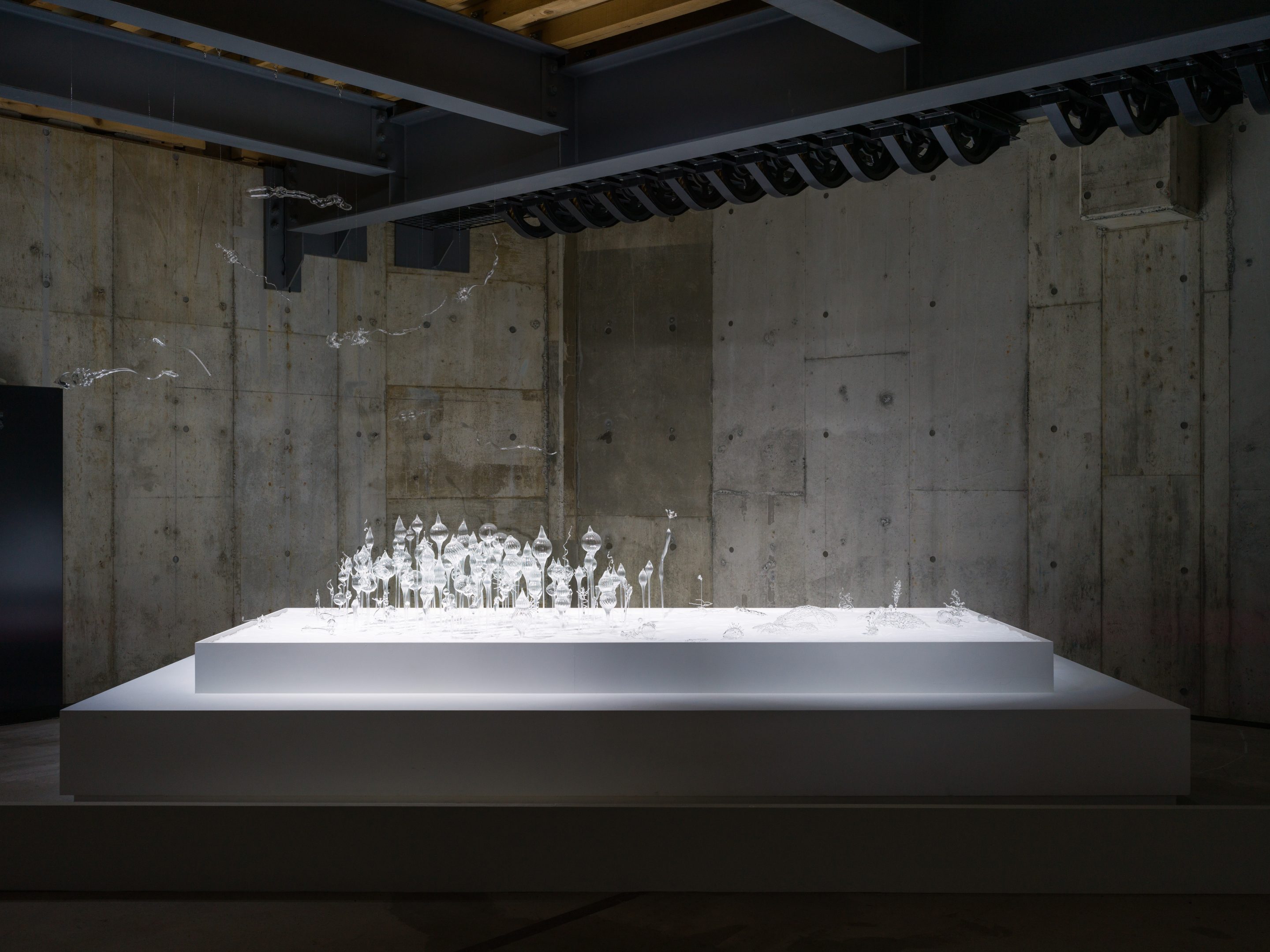 "AOKI Mika, installation view at Sapporo International Art Festival 2024.  Photo by FUJIKURA Tsubasa"