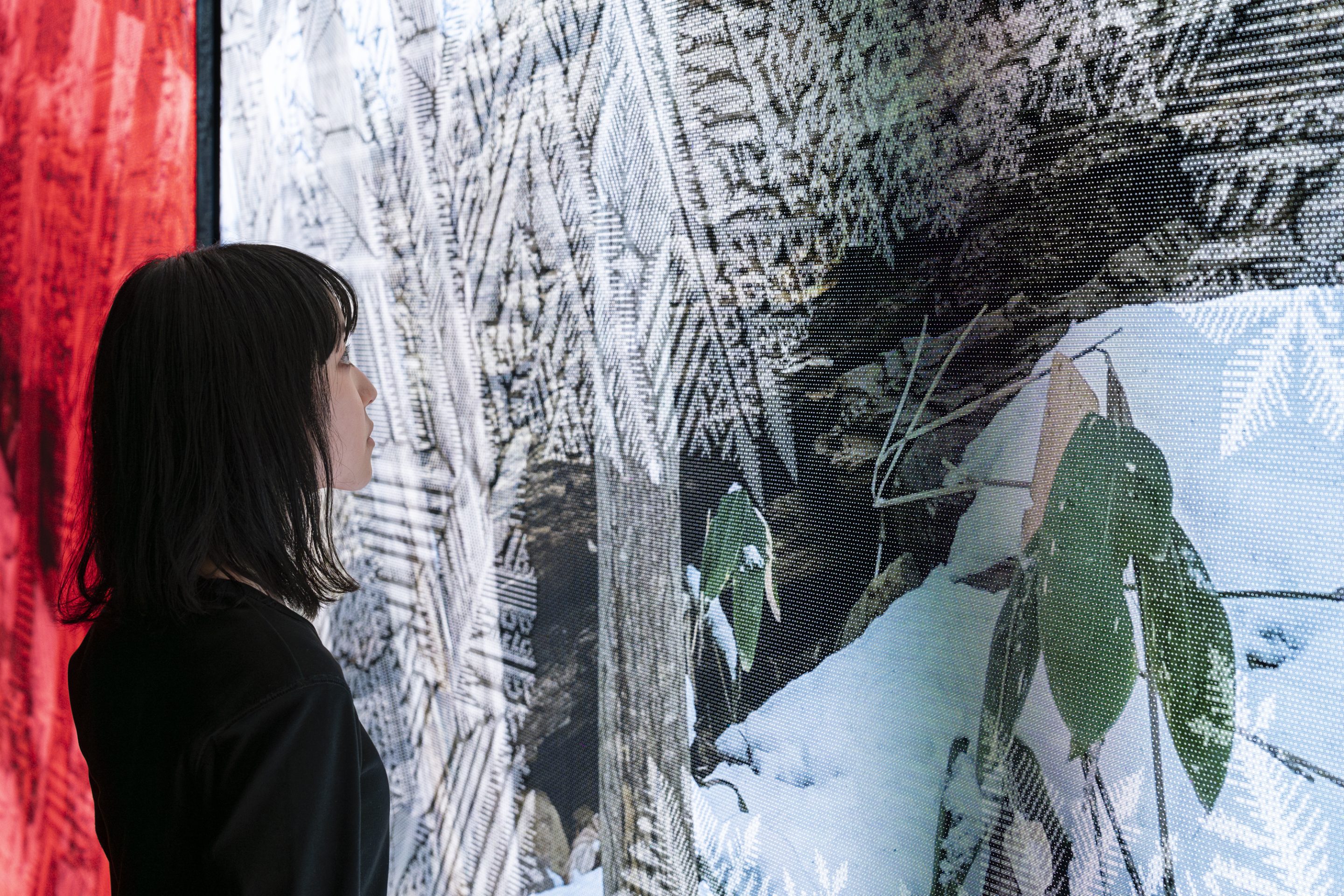 Sony Design in collaboration with HIRAKAWA Norimichi《INTO SIGHT at SIAF2024》 平川紀道《雪花譜 / six-petal automata》,Photo by MOMMA Yusuke