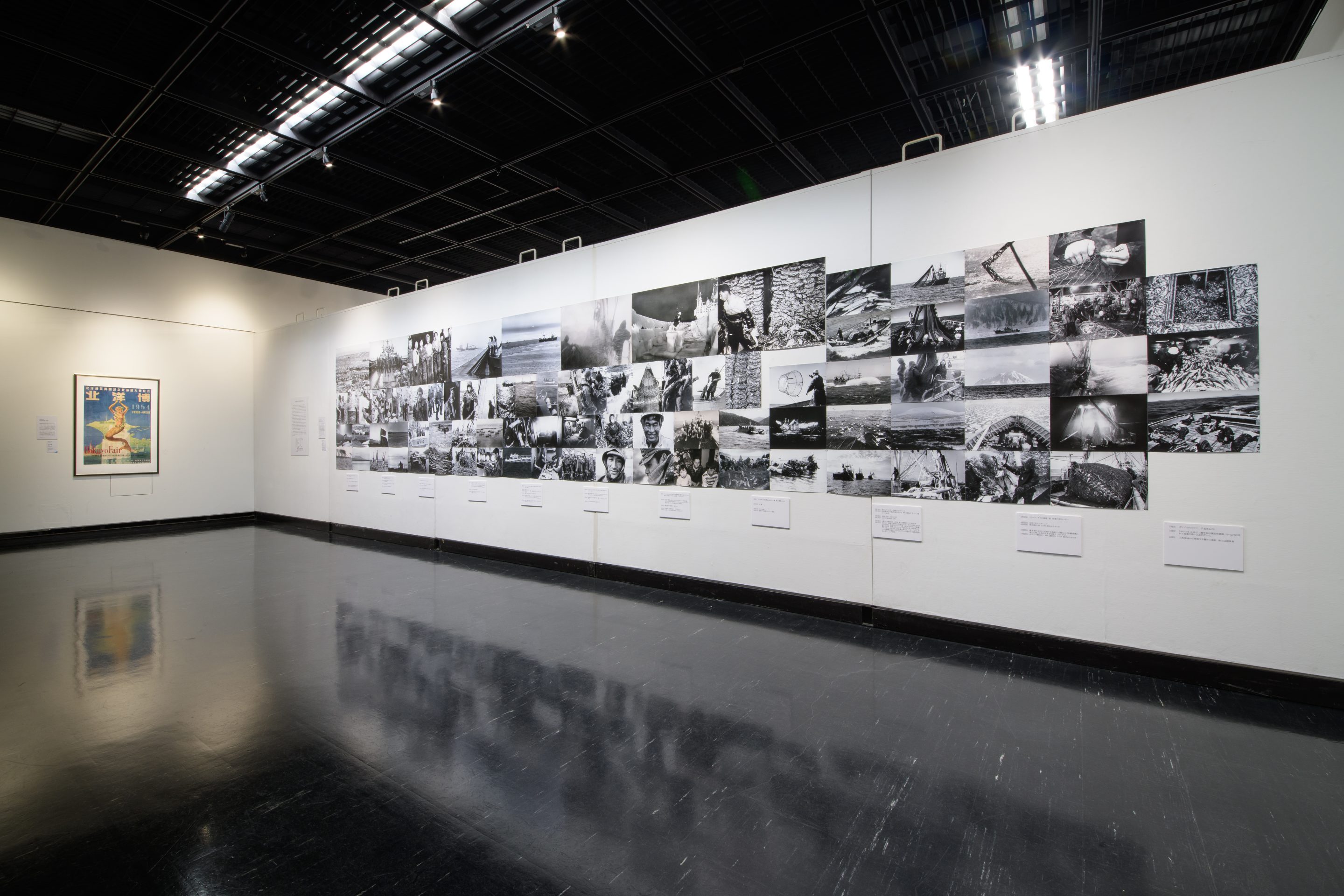 北海道立近代美術館の展示風景, Photo by KOMAKI Yoshisato