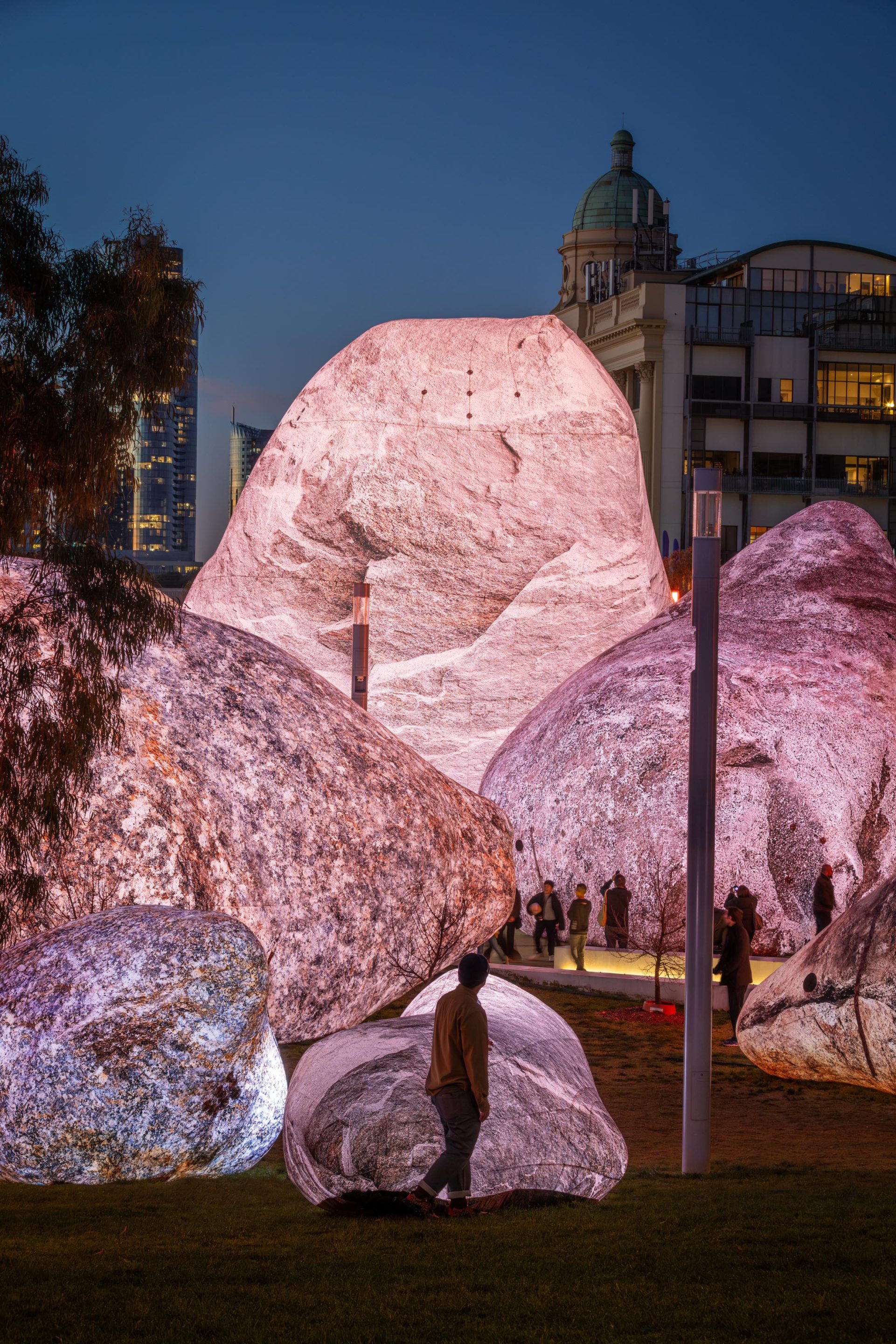 ENESS《Iwagumi Air Scape》 Photo by Ben Weinstein