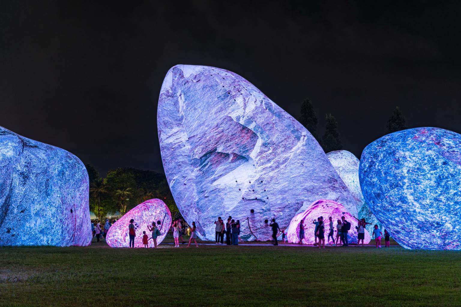 ENESS《Iwagumi Air Scape》 Photo by Finbarr FALLON