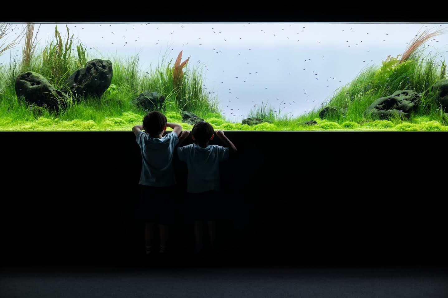 ADA SUIKEI Creators “Breezy Stonescape” 2023 ©Nacása & Partners Inc.