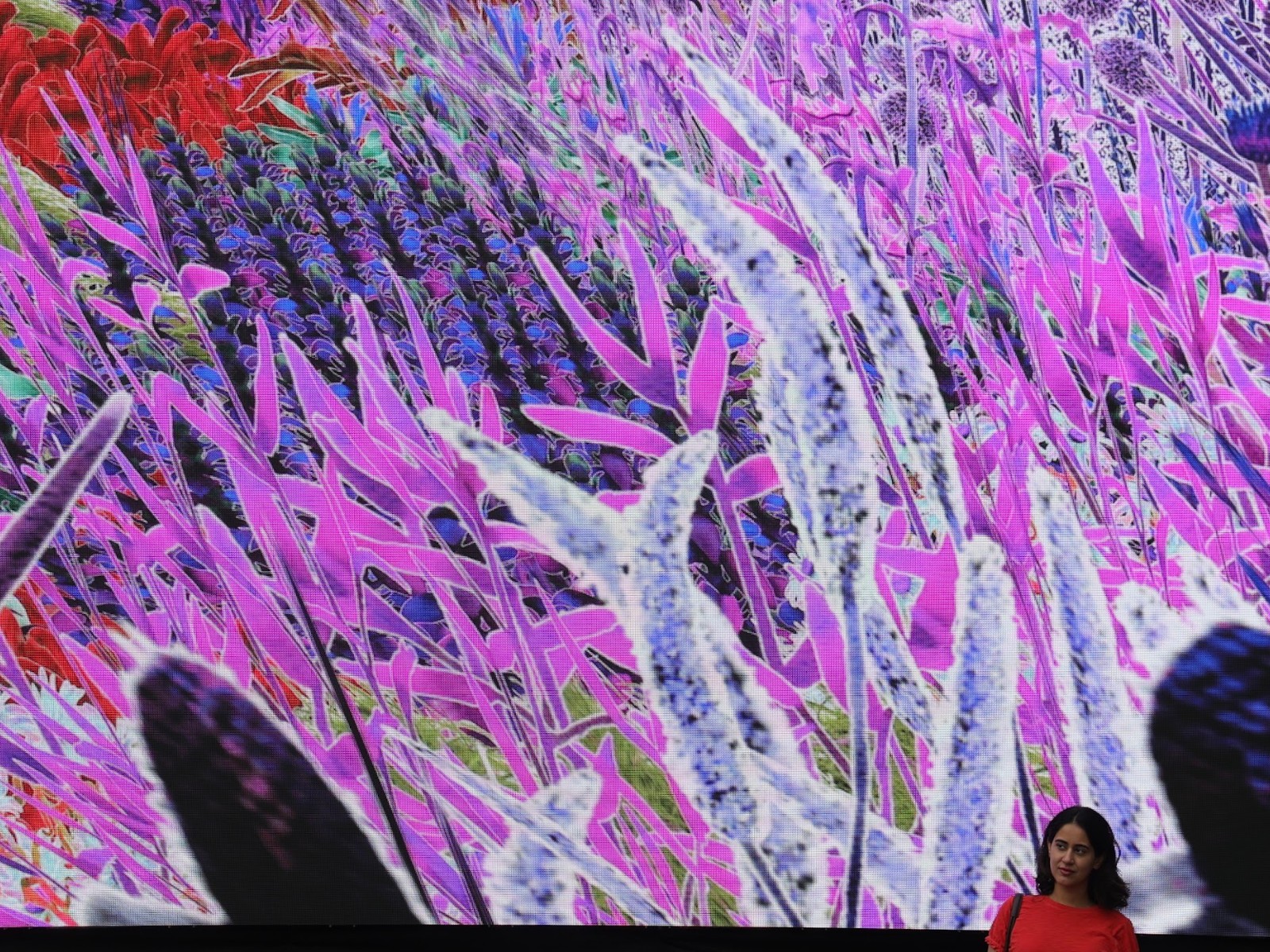 アレクサンドラ・デイジー・ギンズバーグ《Pollinator Pathmaker: Vn8BG3rVof》2026　「Creative Intelligence」展示風景（サウスバンク・センター リバーサイド・テラス、ロンドン）　© Alexandra Daisy Ginsberg