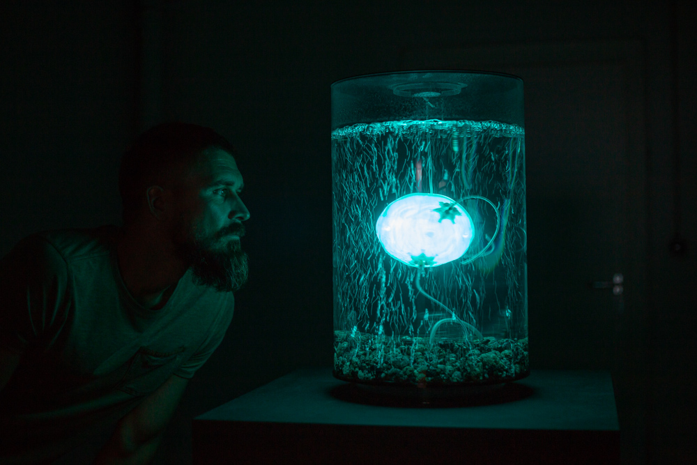 Image：<p>'ArchaeaBot' by Anna Dumitriu and Alex May in collaboration with scientist Amanda Wilson at Imperial College - Photo credit Vanessa Graf/ Ars Electronica 2018, Linz, Austria</p>
