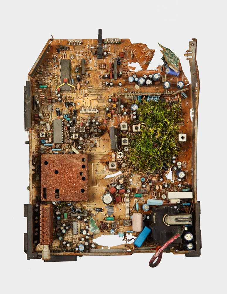 Image:Center for the Living Things