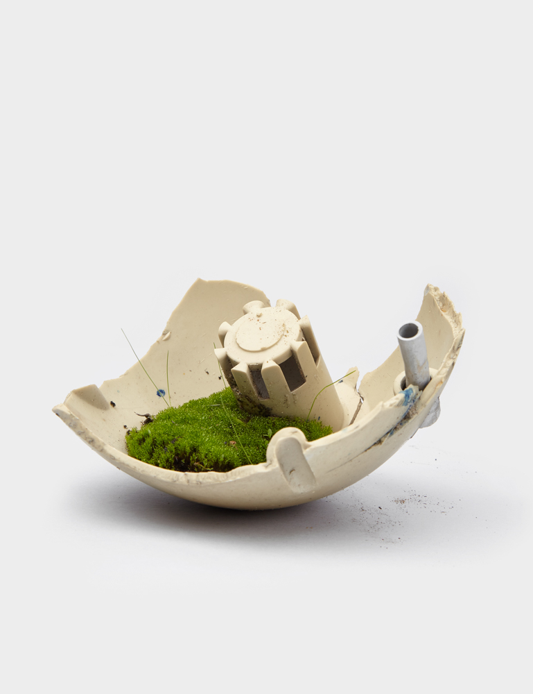 Image:Center for the Living Things